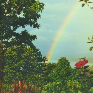 00000018 rainbow to brighten with new windows photo gallery program (2)